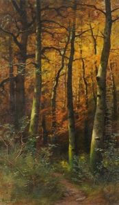 Herbst Im Birkenwald by Jakob Lorenz Ruedisuehli