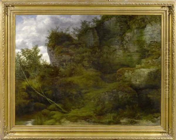 Waldlandschaft Mit Felsen - view 1