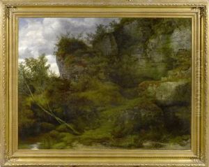 Waldlandschaft Mit Felsen