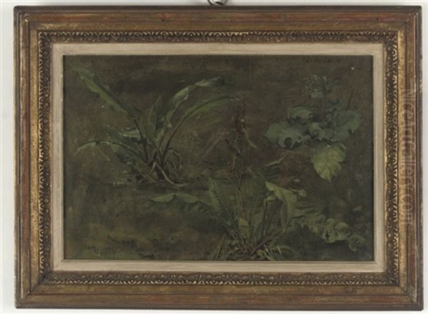 Plein Air Studies Of Plants - view 1