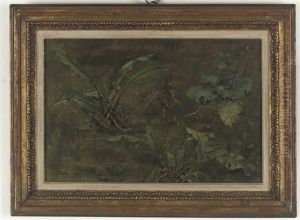 Plein Air Studies Of Plants