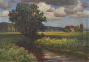 Sommerliche Wiesenlandschaft Mit Bachlauf
