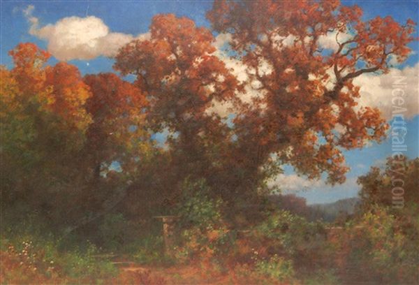 Autumn Landscape Forest Scene With Blue Sky And Clouds To Background - view 1