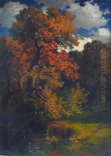 Herbstliche Baume - view 1