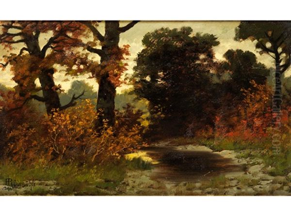 Herbstlich Verfarbte Baume Am Waldrand Mit Kleinem Wassertumpel Im Spatlicht - view 1