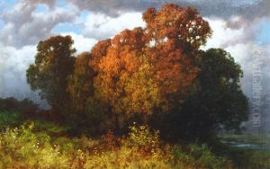 Trees In Autumn Light