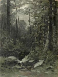 Wald Im Mondschein