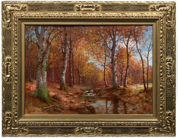 Waldbach Im Herbst - view 1
