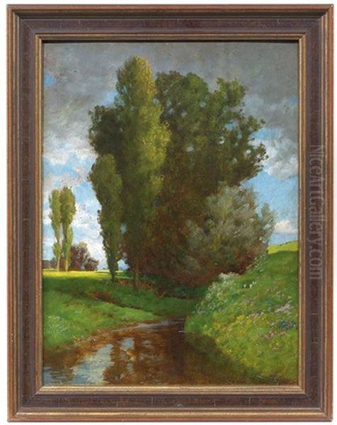 Sommerlicher Wiesenbach - view 1