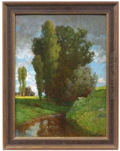 Sommerlicher Wiesenbach