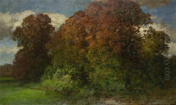 Waldchen Im Fruhherbst - view 1