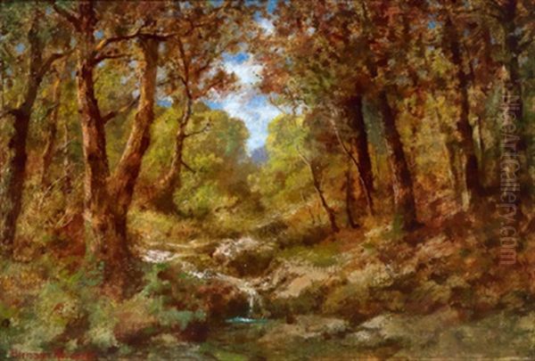 Herbstliches Waldinterieur - view 1