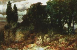 Gewitter-wolken Uber Baumlandschaft