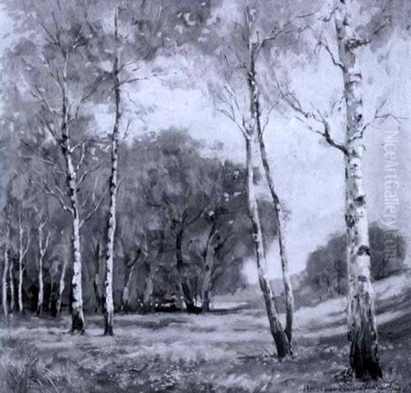 Parklandschaft Im Fruhling - view 1
