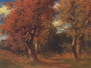 Herbstwald Herbstwald