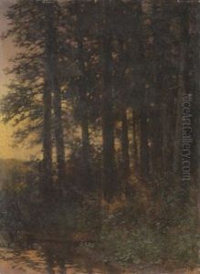 Waldinneres Waldinneres