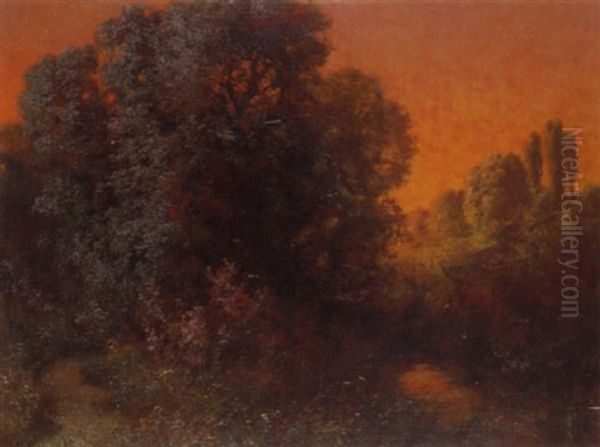 Sommerabend Bei Einem Wald - view 1