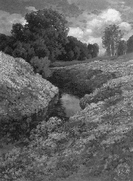 Sommerliche Bachlandschaft - view 1