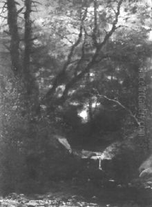 Waldlandschaft Mit Teich Und Steinigem Ufer