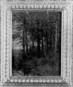 Waldlichtung Im Abendrot