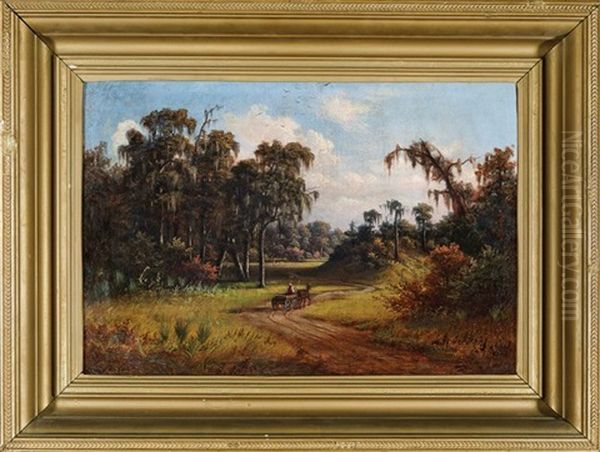 Horse And Cart, Southern Louisiana - view 1