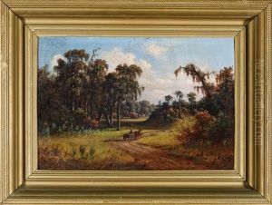 Horse And Cart, Southern Louisiana by Harold Rudolph
