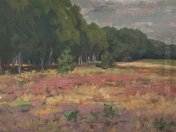 Schorfheide - view 1