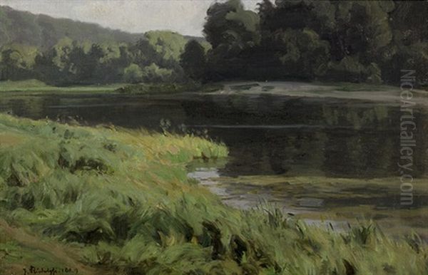 Der Berliner Schlachtensee - view 1