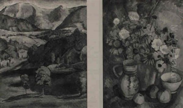 Gebirgslandschaft Mit See - view 1