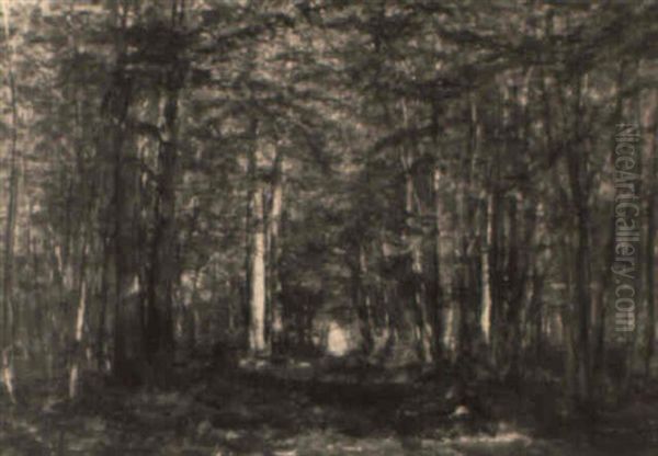 Enfants Dans Un Sous-bois - view 1