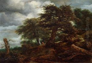 Bewaldeter Hugel Mit Wanderer Und Zwei Baumstumpfen by Jacob Van Ruisdael