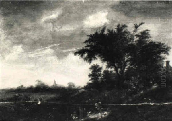 Bewaldete Dunenlandschaft - view 1