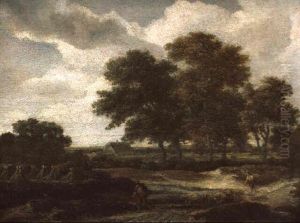 Weite, Baumbestandene Landschaft Mit Einem Kornfeld