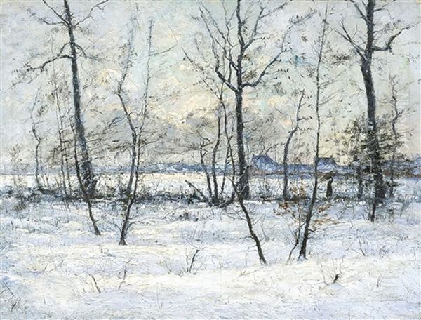 Winter In De Kempen - view 1
