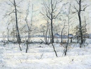 Winter In De Kempen