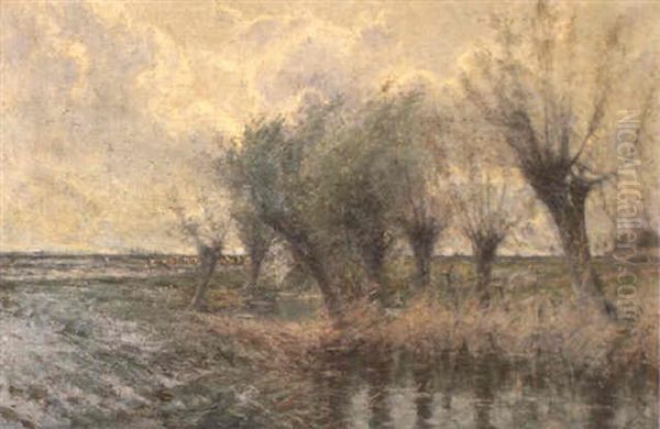 Vue Sur Ruisseau Dans La Campagne - view 1