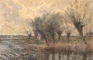 Vue Sur Ruisseau Dans La Campagne