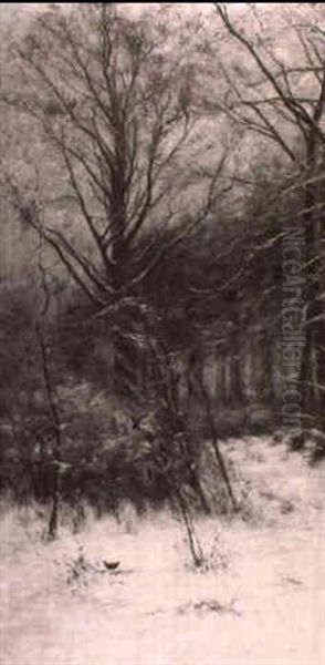 Paysage D'hiver - view 1