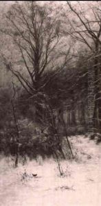 Paysage D'hiver