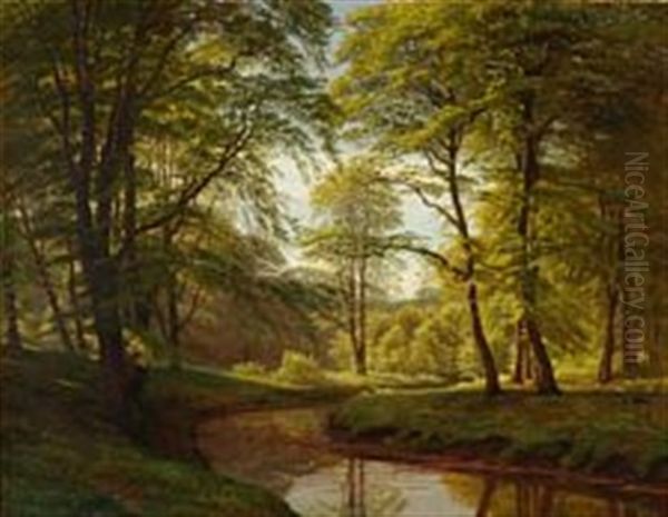 Forest Scene With A Stream - view 1