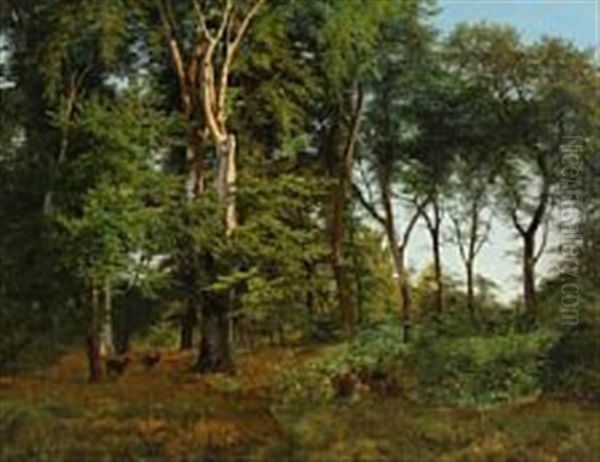 A Danish Forest At Spring - view 1