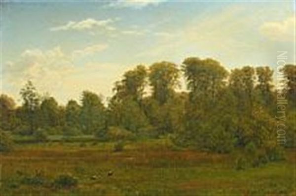 Meadow Landscape With Storks - view 1