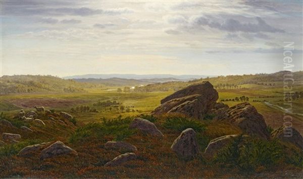 Schwedische Landschaft - view 1