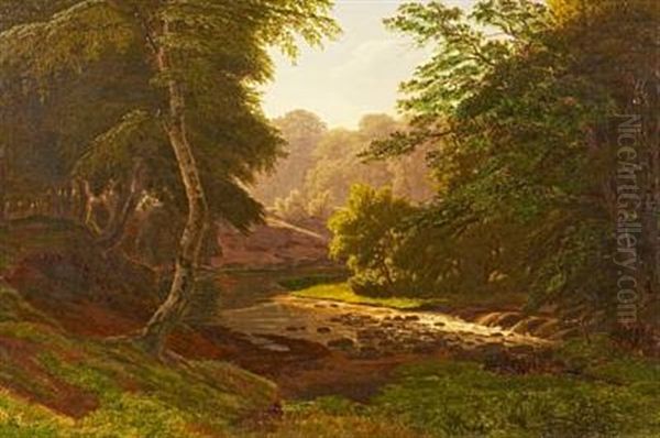 Forest Landscape With A Stream - view 1