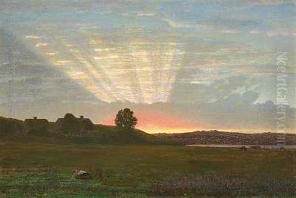 Engparti I Naerheden Af Mariager Ved Solnedgang - view 1