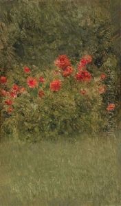 Dahlien Dahlien
