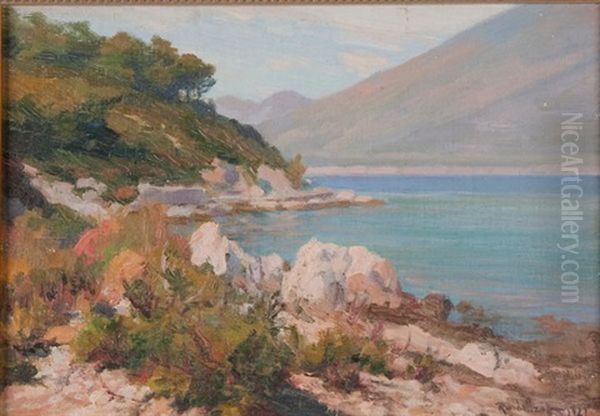 Sea Cove - view 1