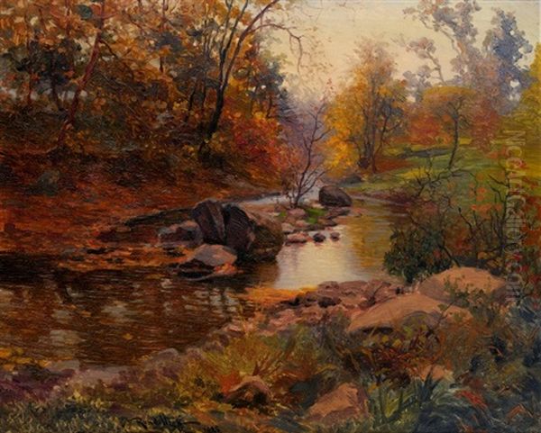 Autumn Forest - view 1