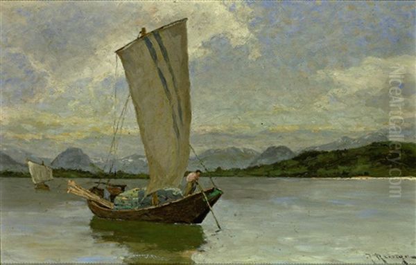 Ladine Vor Der Rheinmundung Am Bodensee - view 1