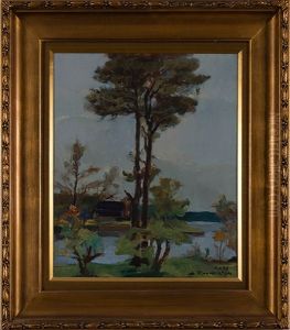 Pine Trees In Summer